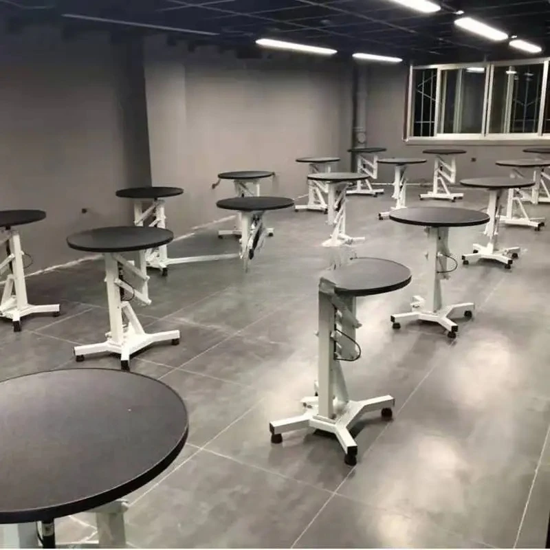 

Pet Special Teddy Panda Dog Beauty Modeling Pneumatic Lifting Rotating Shearing Beauty Table Cosmetic Table