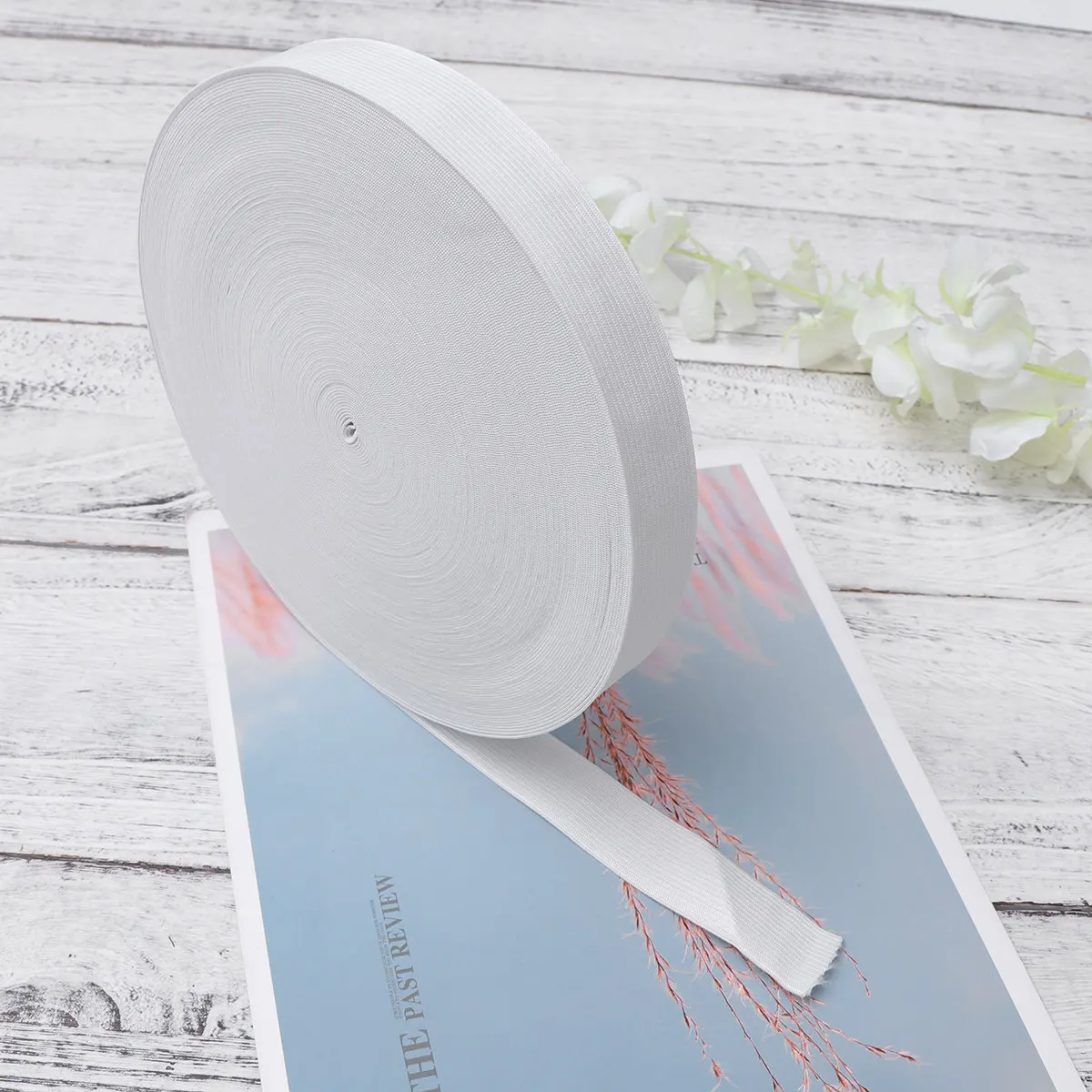 

1 Roll 4000Cmx2.5Cm White Flat Thin Elastic Band Stretchable For Underwear Sportswear Diy Projects Clothing Accessories