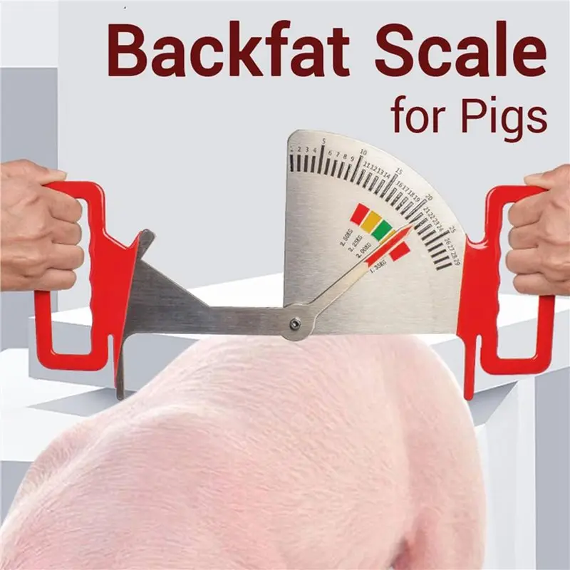 PTST 2X Sow Back Fat Caliper Essential Tool For Effective Sow Feeding Management On Farms