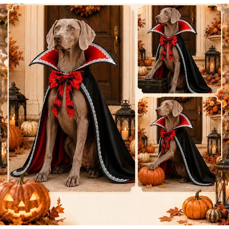 Halloween Lace Cape Pet Costume 1