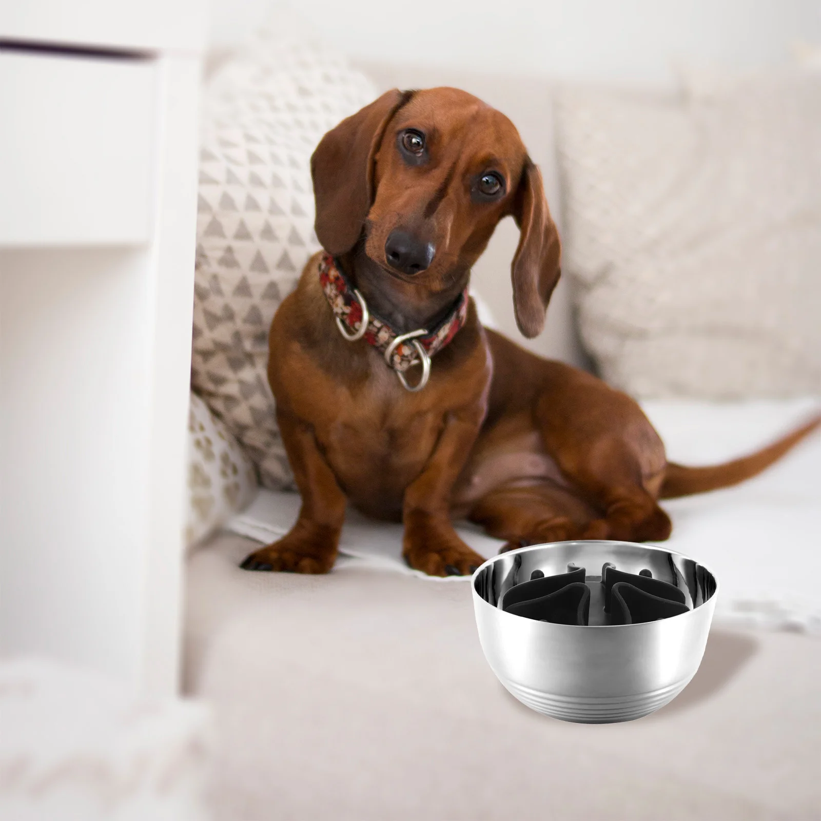 Slow Feeder Dog Bowl Large Breed Slowing Pet Food Bowls Puppy Feeding Insert Anti-choking Household