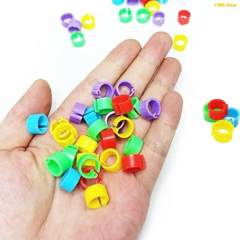 U1JB 200 Pcs Bird Foot Rings Species Identify for Pigeons Parrots Training Rings