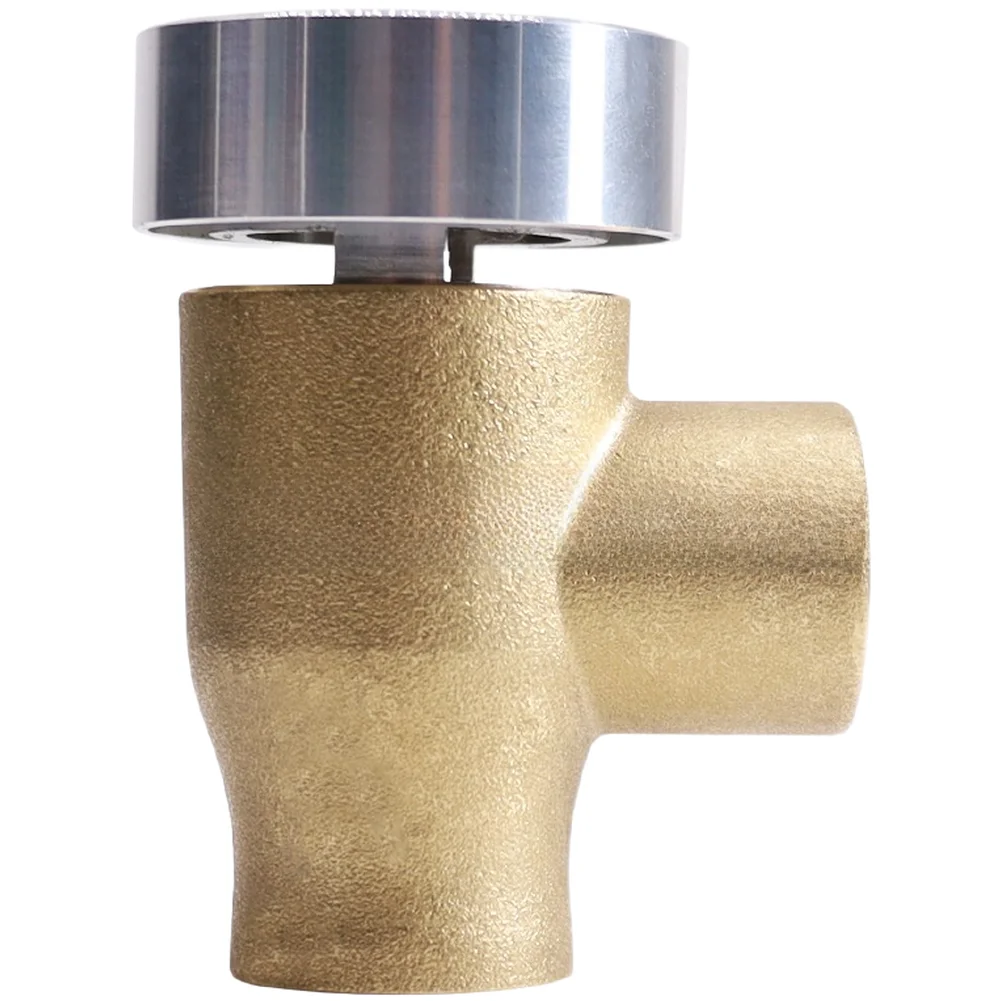 Brass LF288A Check Valve with Integrated Anti-Siphon and Vacuum Breaker Technology for Recreational Vehicle Water Supply Safety