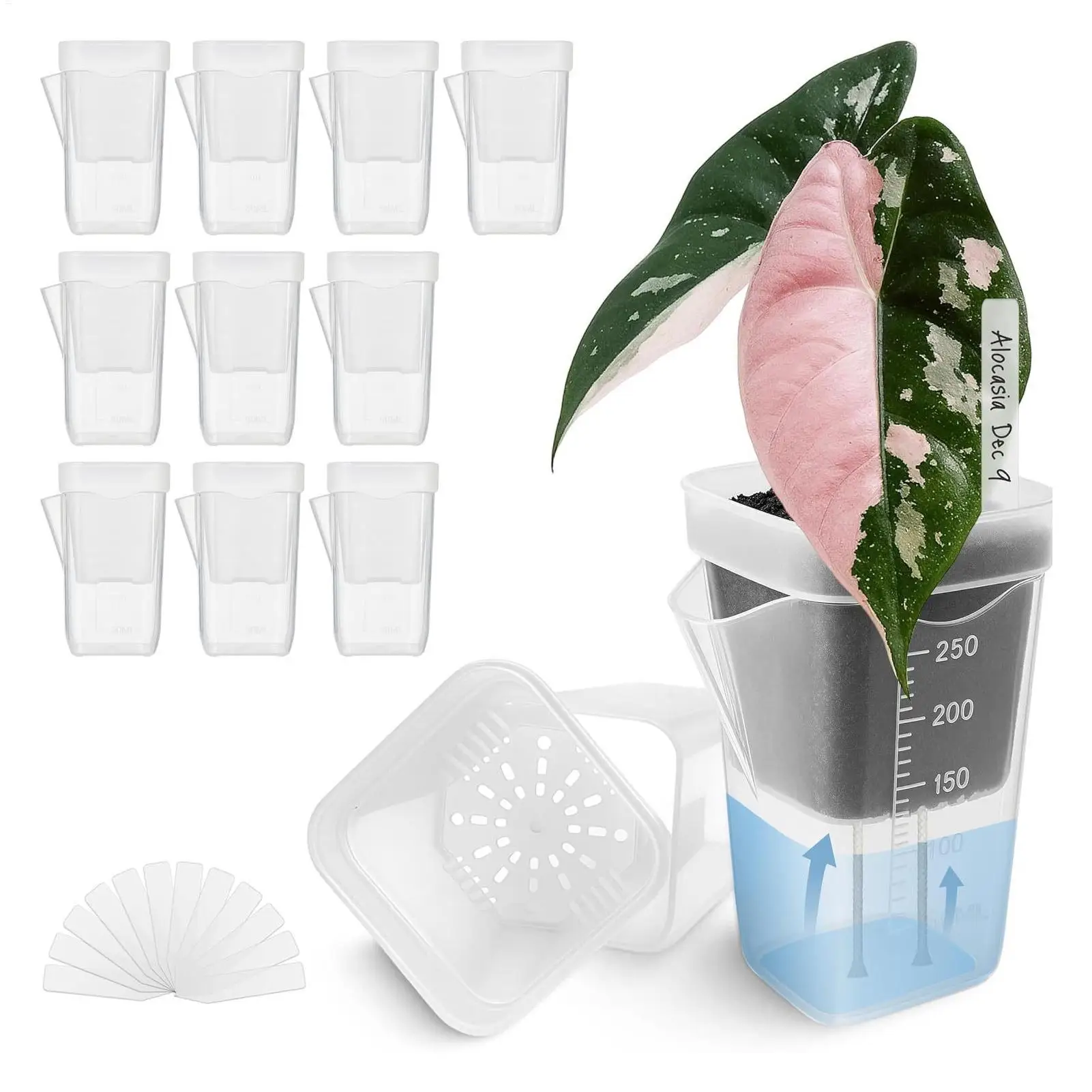 10 Pieces Indoor Plant Pot Transparent Self-Watering Planter Small Hydroponic Propagation Pots for African Violets Alocasia