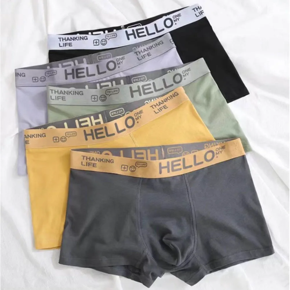 Men\'s Panties Underwear Boxer Shorts Comfortable Milk Silk Underpants Cuecas Calzoncillos Boxershorts Lot Plus Size L-5XL