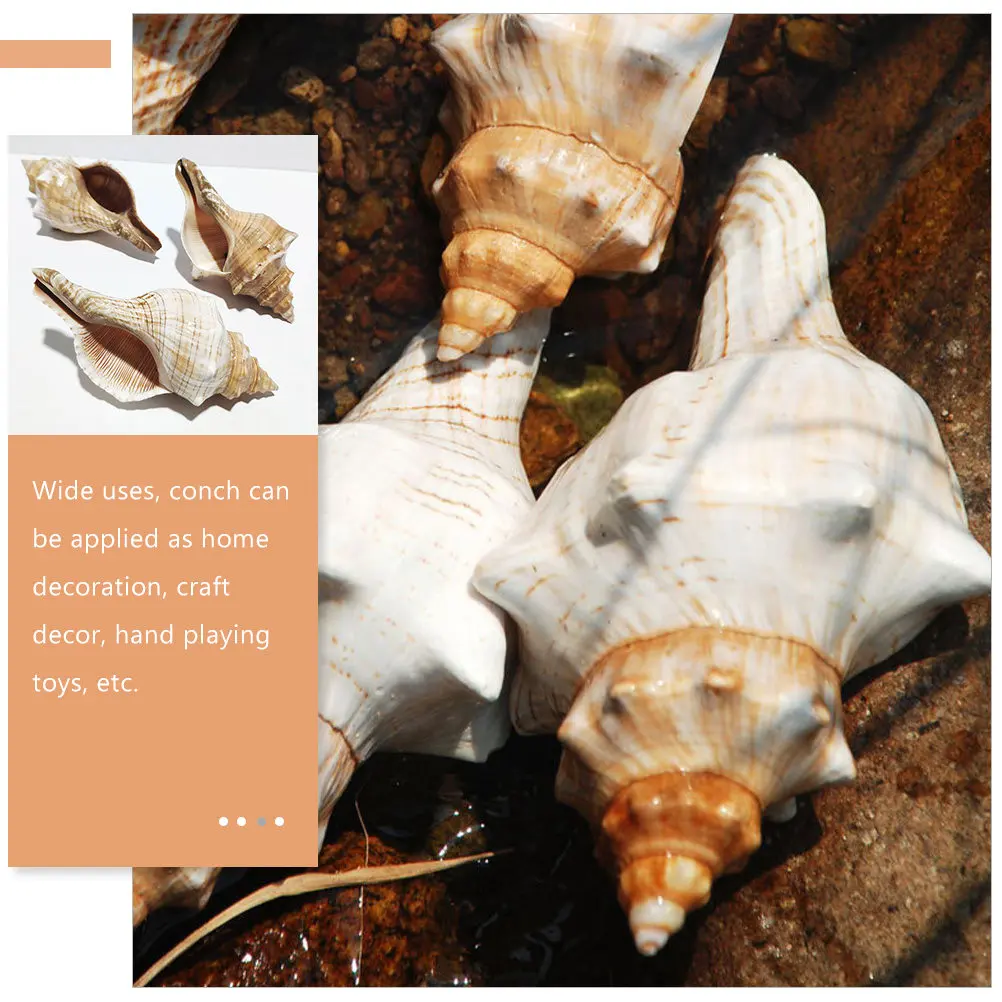 Decorative Conch Shell for Aquarium Fish Tank Home Decor Desktop Craft Beach Theme Vase Wreath Natural Seashell Landscape