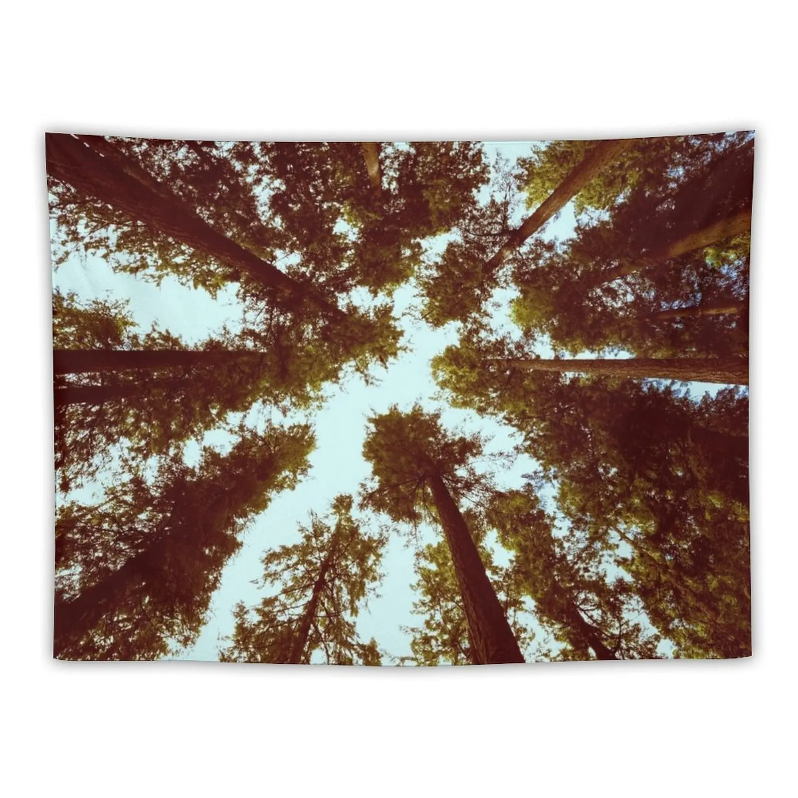 

Forest Sky - Vintage Trees Tapestry Korean Room Decor Aesthetics For Room Tapestry