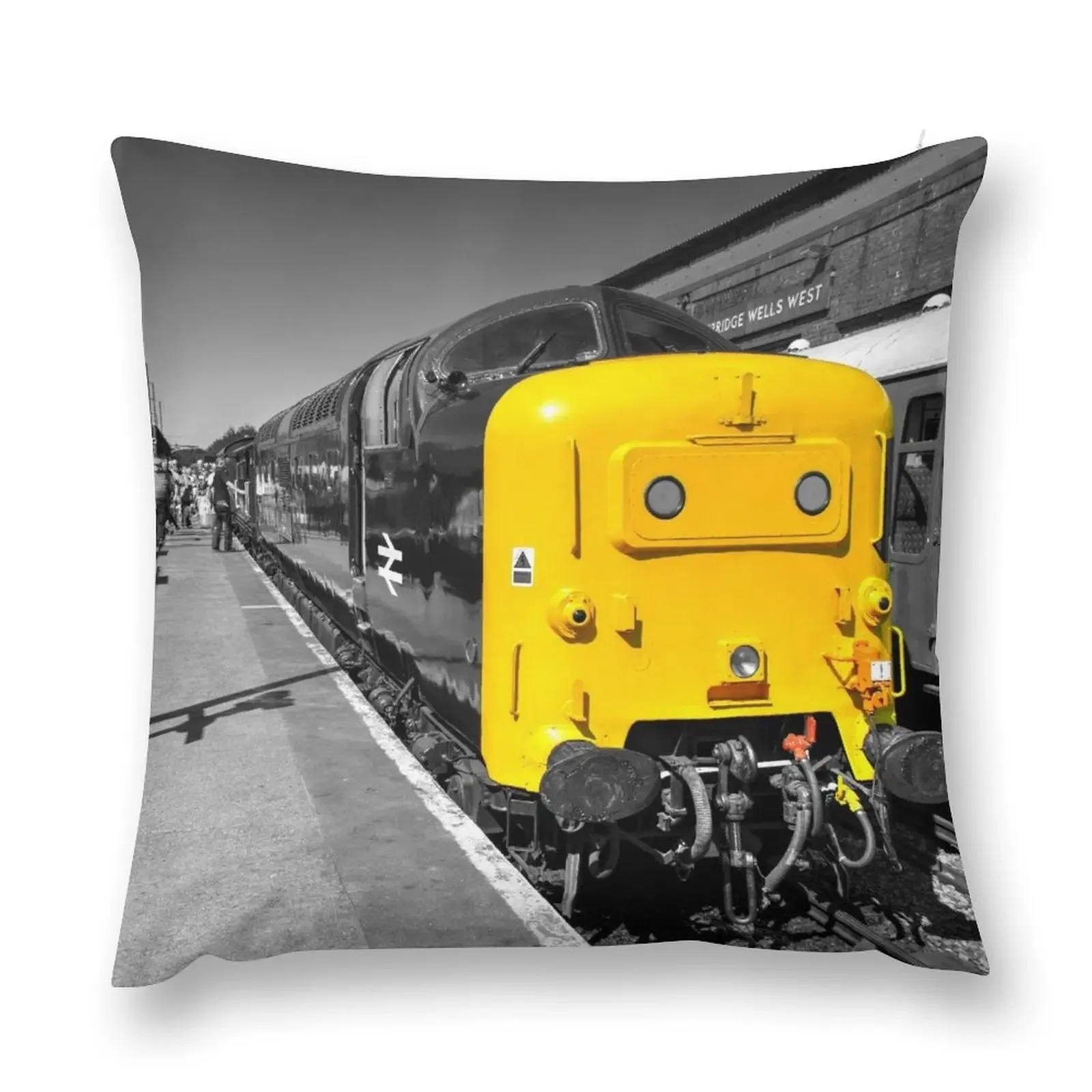 Tunbridge Deltic Throw Pillow anime girl covers for pillows pillow