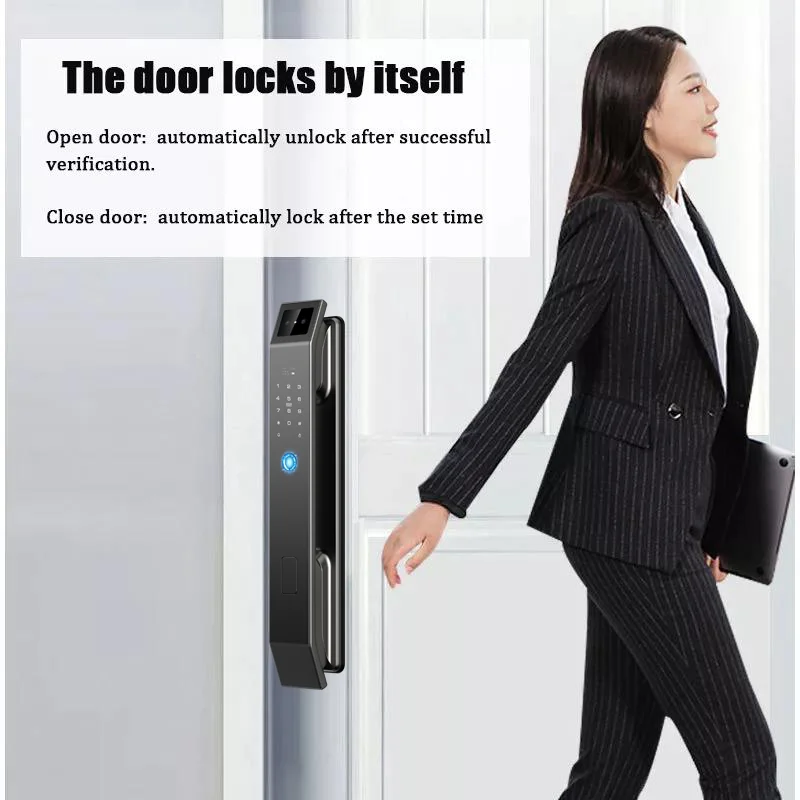 Simple Version D14P 3D Face Recogntion Smart Door Lock Wishome APP Control Fingerprint Passwod Electronic Door Lock With Camera