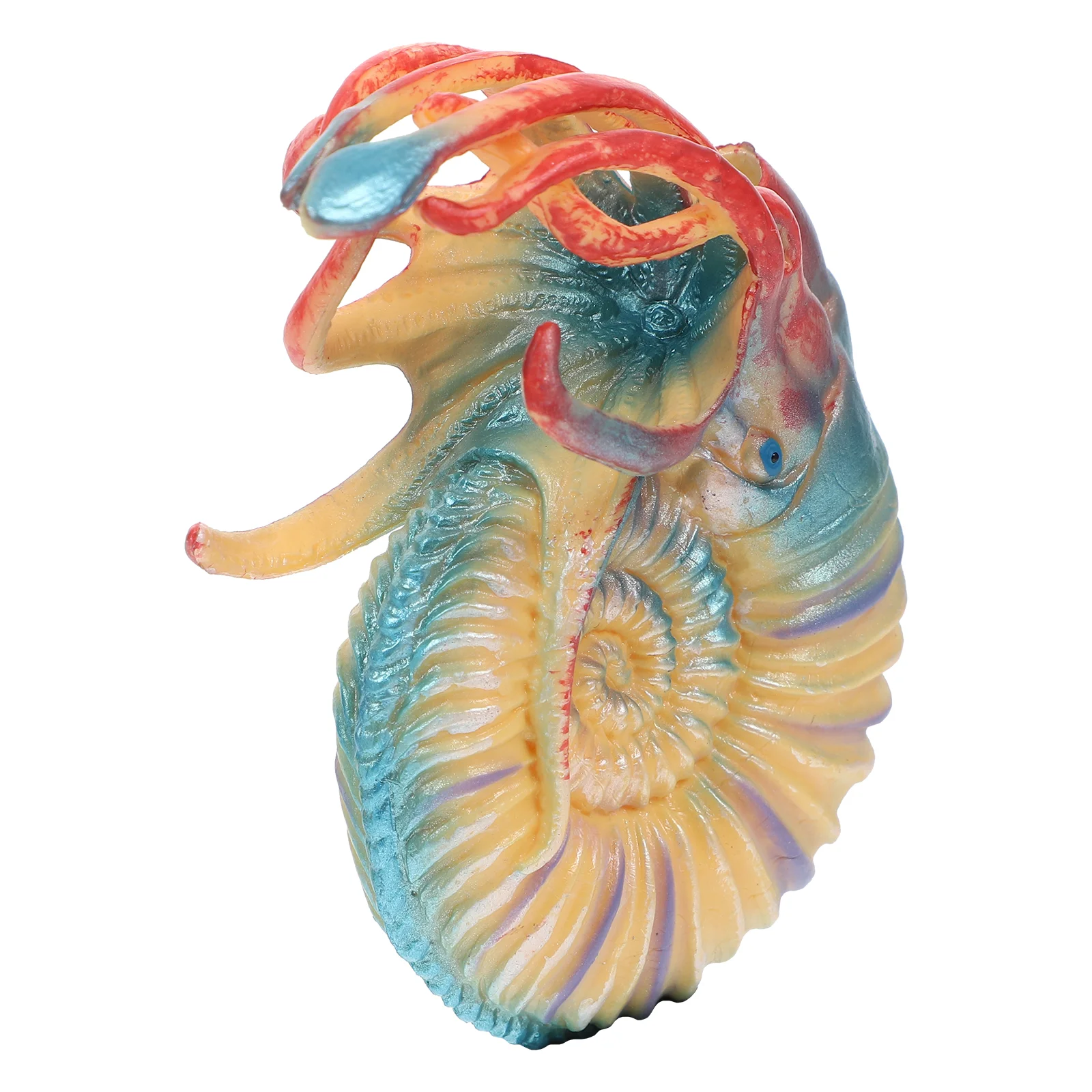 Decor Simulated Nautilus Sea Animals Figurine Realistic Model Ocean Toy Marine Life Child