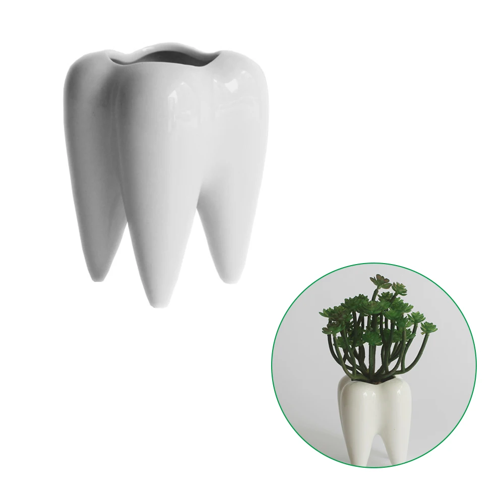 

White Ceramic Tooth-Shaped Small Flower Pot, Tooth Shape, Table Plant Pot, Home Decoration, Desktop