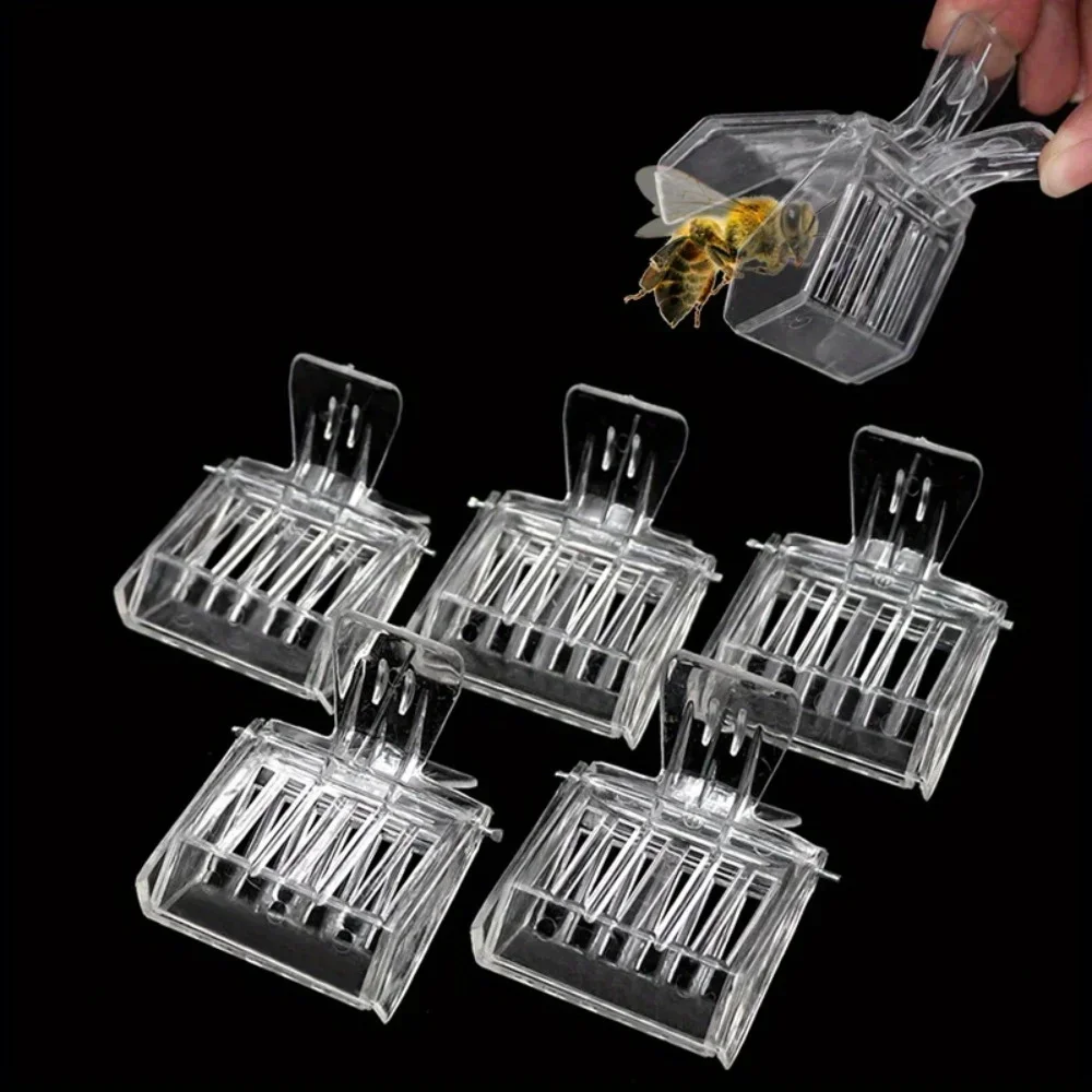 5/1Pcs Clear Clip Cage Beekeeping Queen Bee Cages Bee Catcher Equipment Tool for Beekeepers