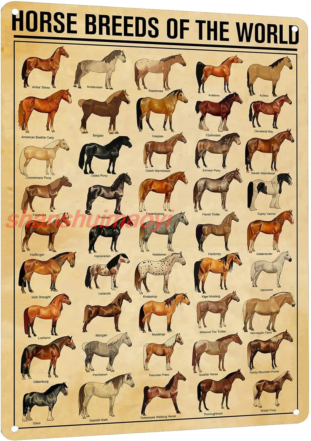 HYBLOM Horse Breeds Of The World Metal Tin Sign - Educational & Retro Farmhouse Wall Art, Vintage Poster for Man Cave, Scho sign