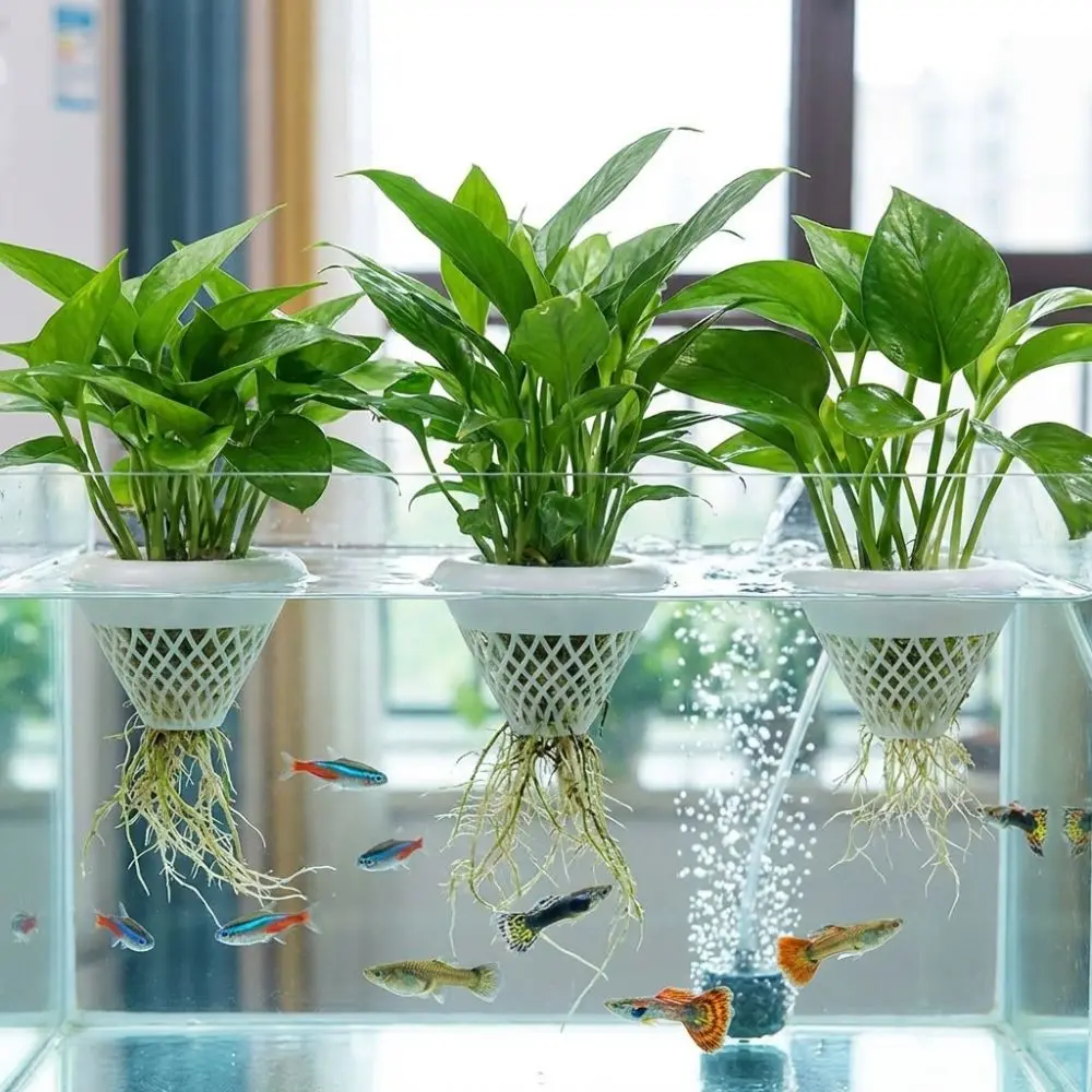 3D Printed Floating Aquarium Planting Basket Plastic Growing Pots Hydroponic Plant Basket Decorative Coexistence Floating Pot