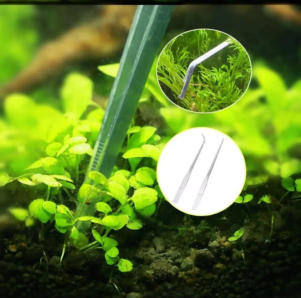 1pc Gerade/Ellenbogen Edelstahl Tank Pinzette Zangen Aquarium Werkzeug Aquarium Wasserpflanzen Pinzette Clip für Reinigung werkzeug – Detail 3