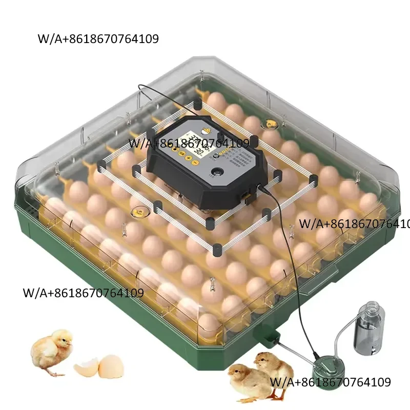 durable Wholesale Price 72 Automatic Chicken Hatching Machine for Sale