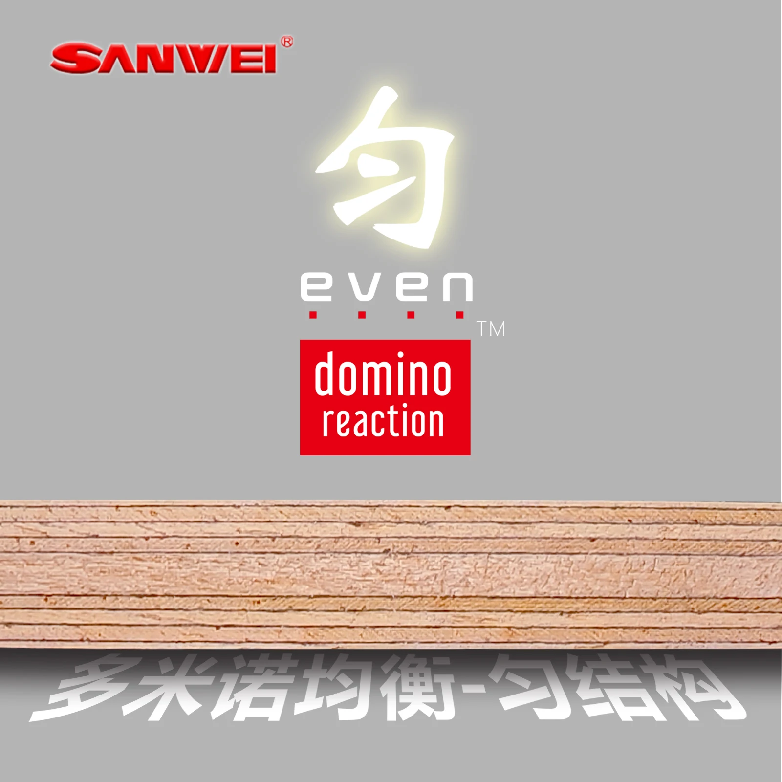 Original SANWEI Table Tennis B - Table Tennis Zlc review and price