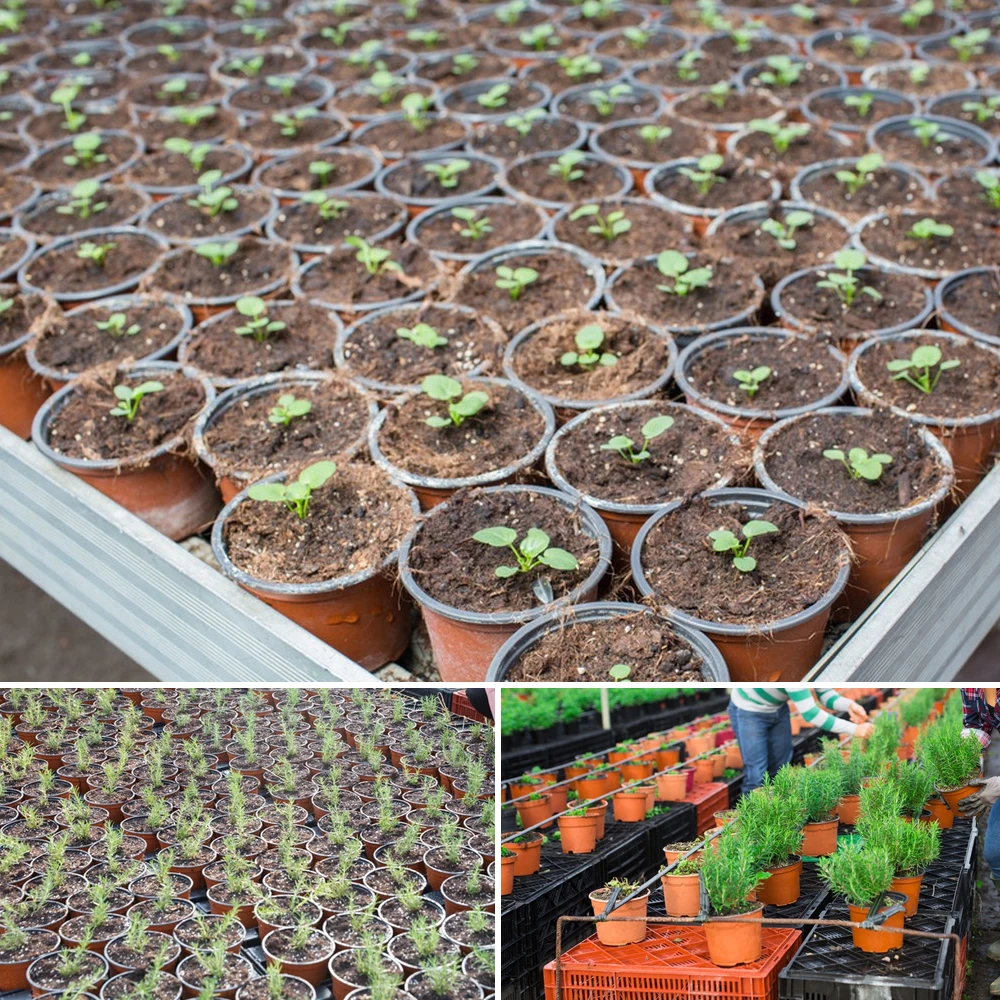 20 قطعة 9/10/11 سنتيمتر حديقة أواني الزهور البلاستيكية بسيطة الحضانة كوب وعاء عصاري لتربية البذور الزهور النباتات زرع الحاويات #6