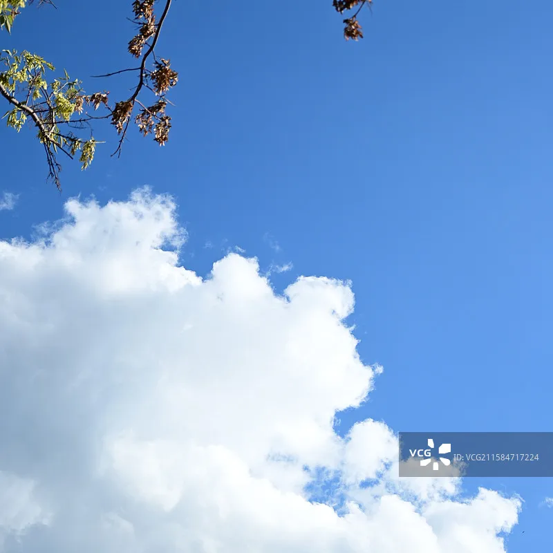 

CADDX FPV Infra Night Vision Camera 0 Lux AI Box Super WDR 1500TVL 120° FOV Black White Sensor for FPV Drone