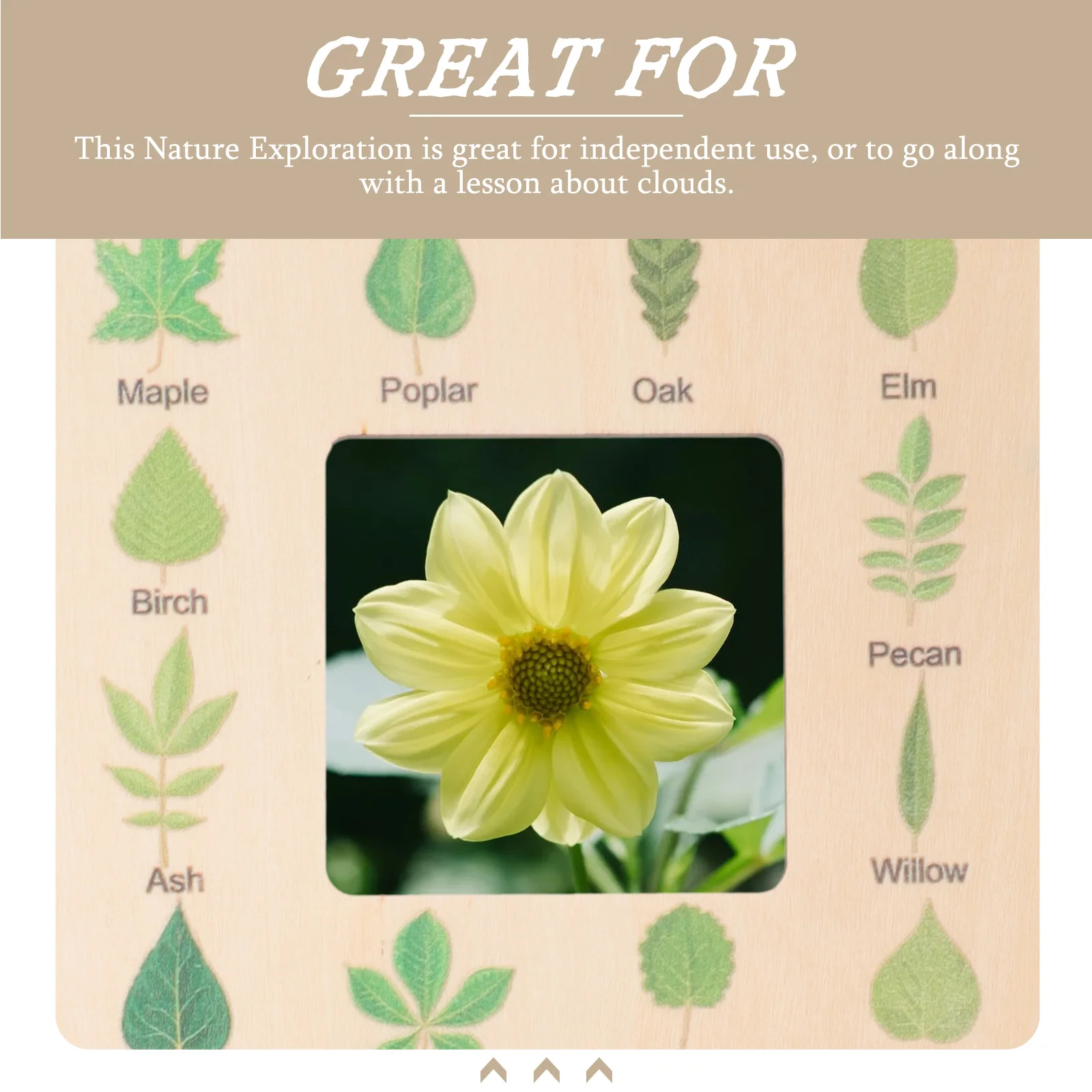 

Nature Guide 0 5CM Thick Large A Wood Craft Kids Toy Outdoor Tool Wooden Outdoor Identification Guide Tool Frame Cloud Viewer
