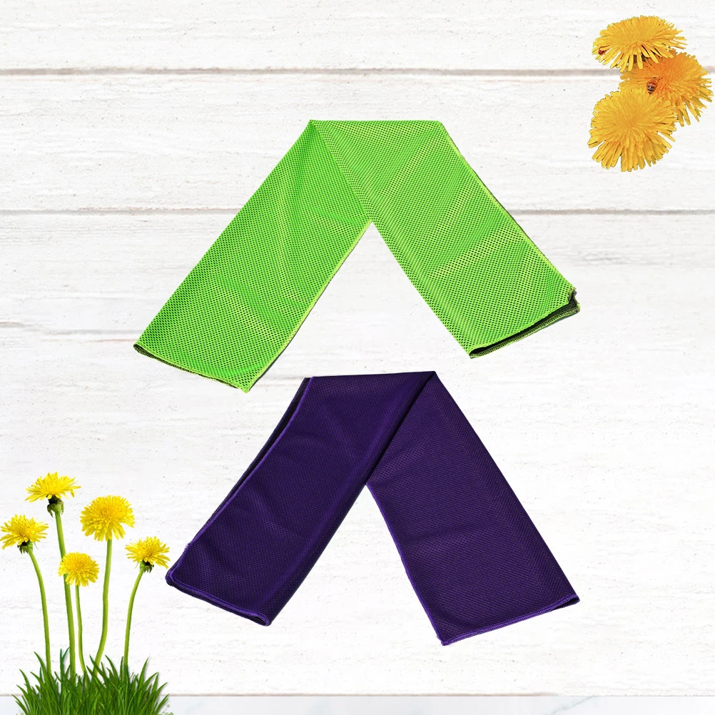 

2Pcs Absorbent Cooling Towel Fast Drying Lightweight Towel for Sports Gym Yoga Running Outdoor Adventures Travel Essential