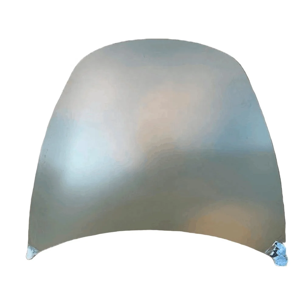 Wholesale Car Hood for Tesal Model 3 OE NO. 1081390-E0-C