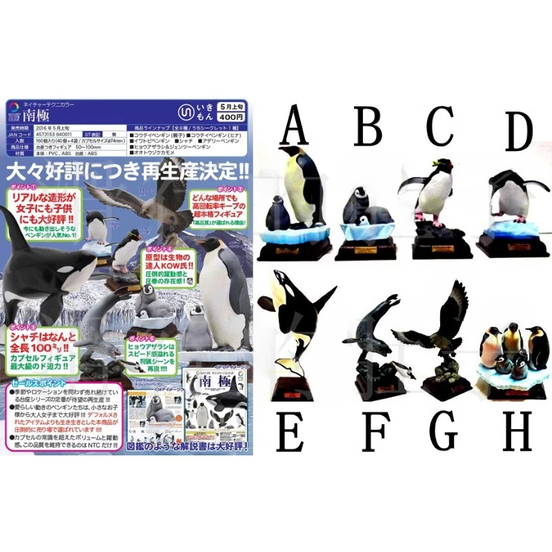 KITAN CLUB Gashapon Penguin Whale Eagle Qversion Mini Model mainan Action Figure hewan koleksi karakter kartun hadiah