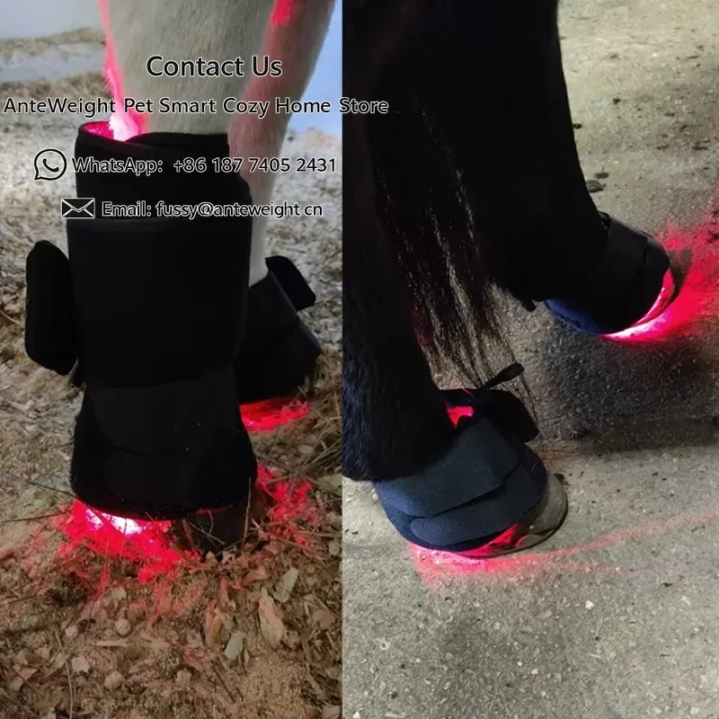 Red Light Therapy Pad Animal Care 660nm Veterinary Equine Infrared Therapy Blanket Used for Horse Hoof Knee Hock