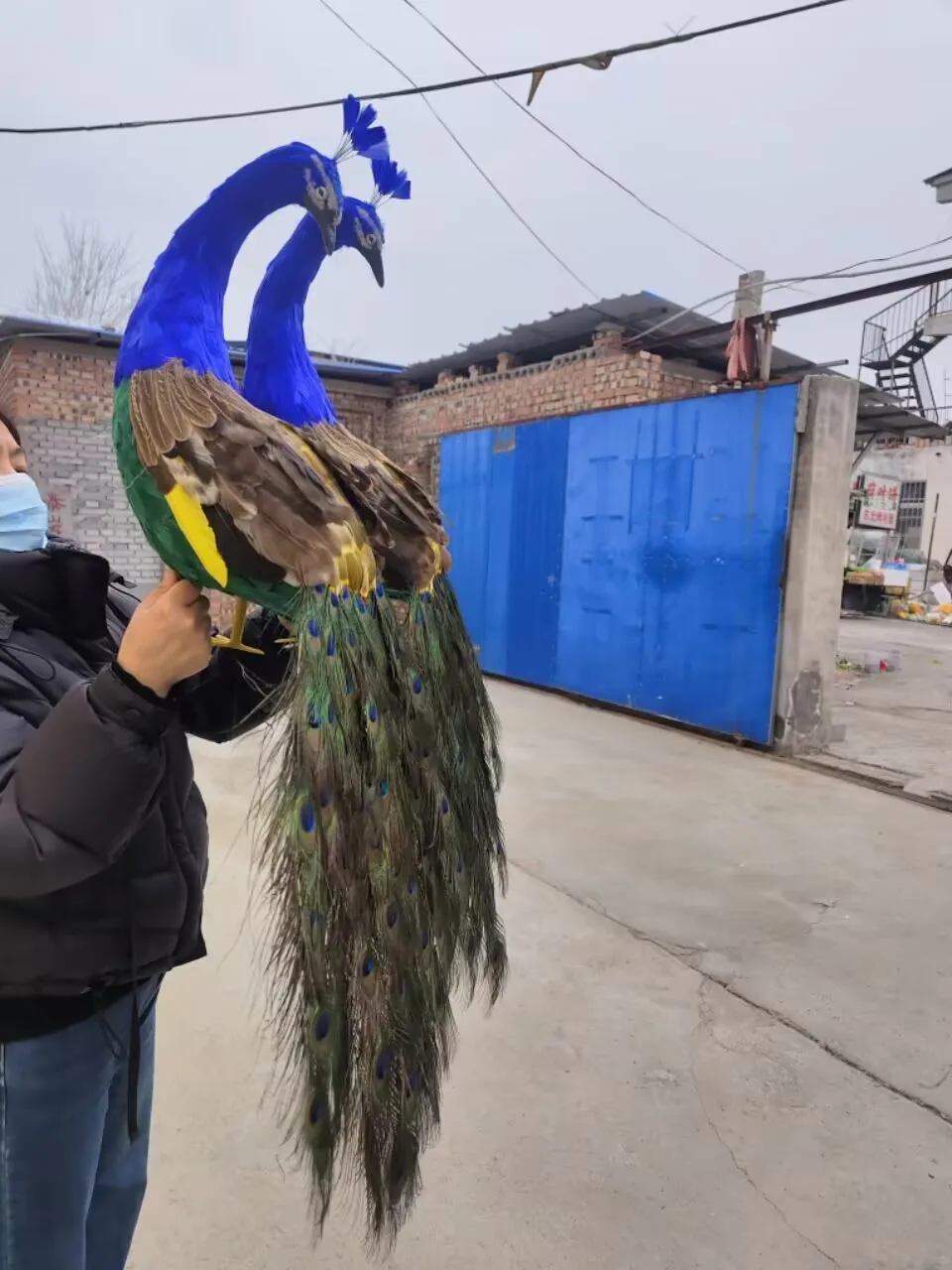 A Pair of Simulation Colorful Peacock Models Foam and Feather Peacock Model About 100cm Home Garden Decoration