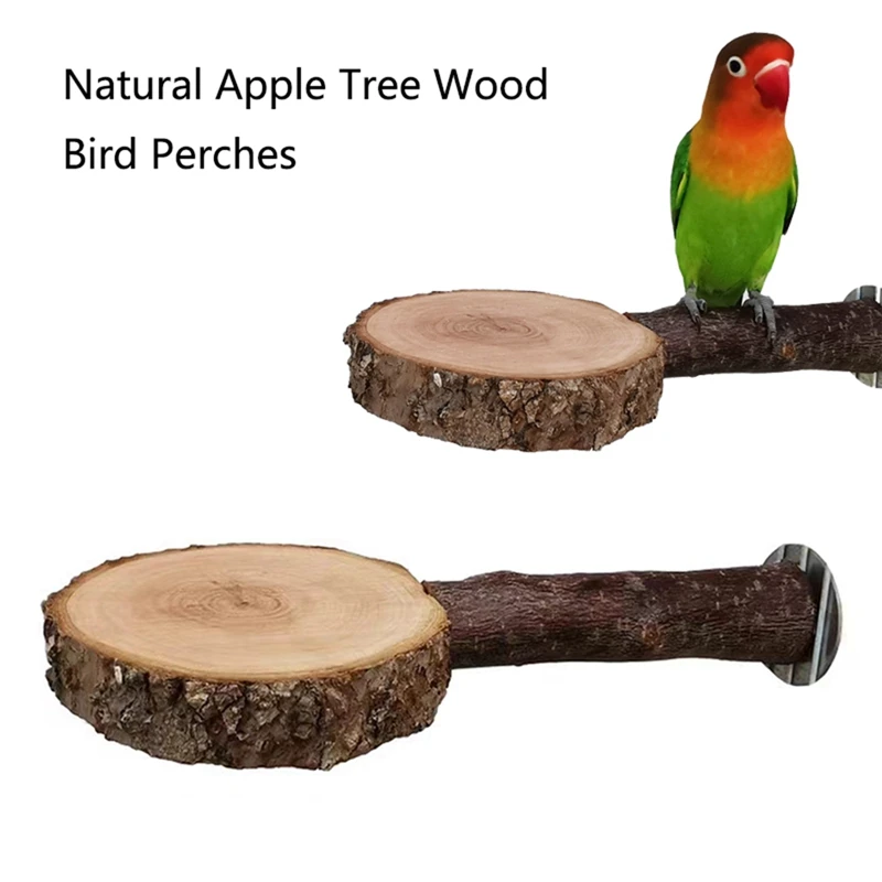 Natural Tree Wood Pet Parrot Raw Wood Fork Tree Branch Stand Rack Squirrel Bird Hamster Branch Perches Chew Bite Toys