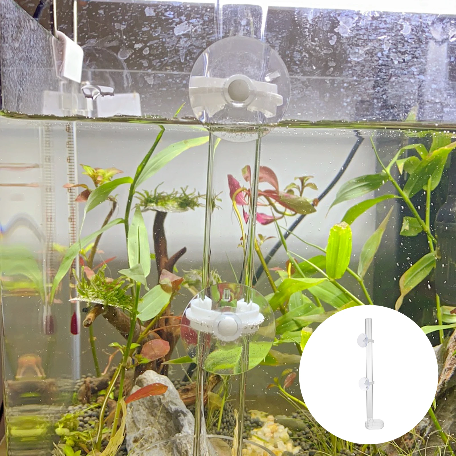 

1 set Fish Shrimp Tank Acrylic Cup Transparent Food Delivery Tool Aquarium Strong Adhesion Bottom Tray Use Shrimp Feeder