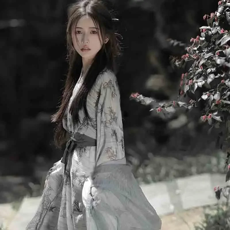 2025 جديد الصينية Hanfu فستان المرأة القديمة التقليدية Hanfu مجموعات كرنفال الجنية تأثيري حلي رمادي الطباعة Hanfu فستان رقص