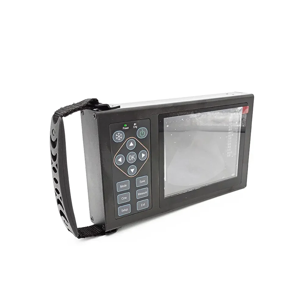 

A10 B- Ultrasound Detection Equipment With Pig Probe Veterinary Monitoring Devices Pig FARM