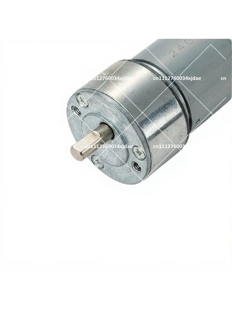 DC Geared Motor 12V 24V High Torque Low Noise Electric Motor for DIY Crusher Machine