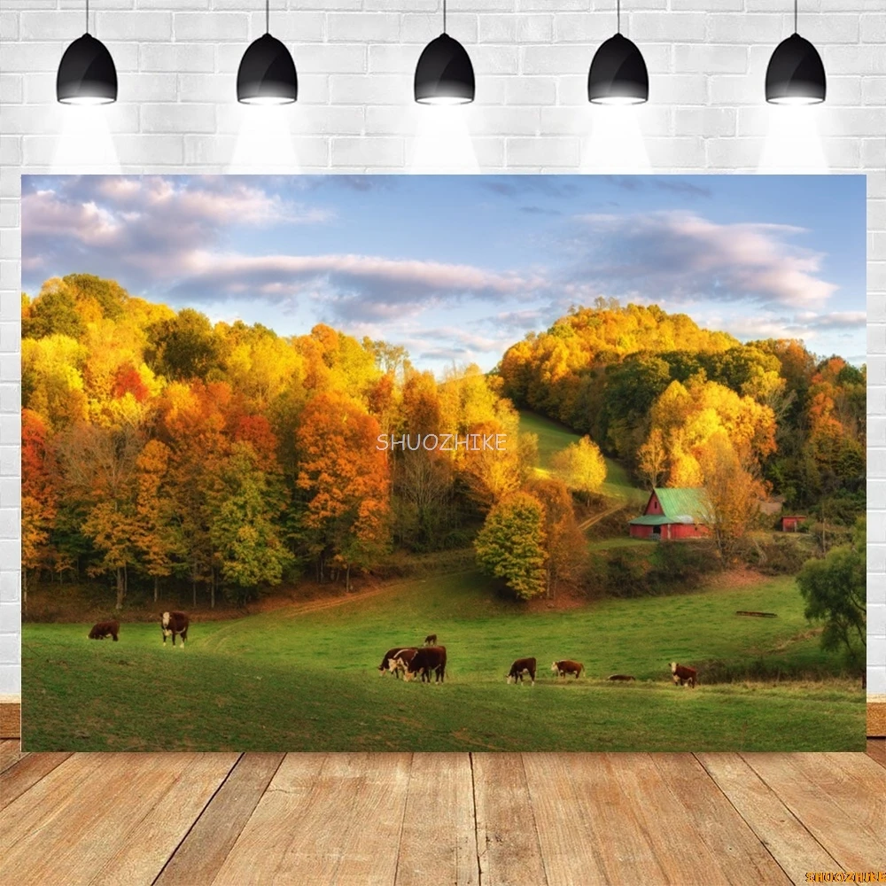 Autumn Natural Scenery Photography Backdrop Forest Plain Landscape Birthday Party Holiday Travel Portrait Photo Background Decor