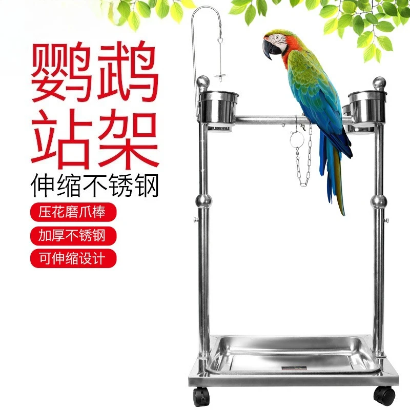 

Stainless steel parrot bird stand pet bird perch stand stand bird ornamental small anklet anklet