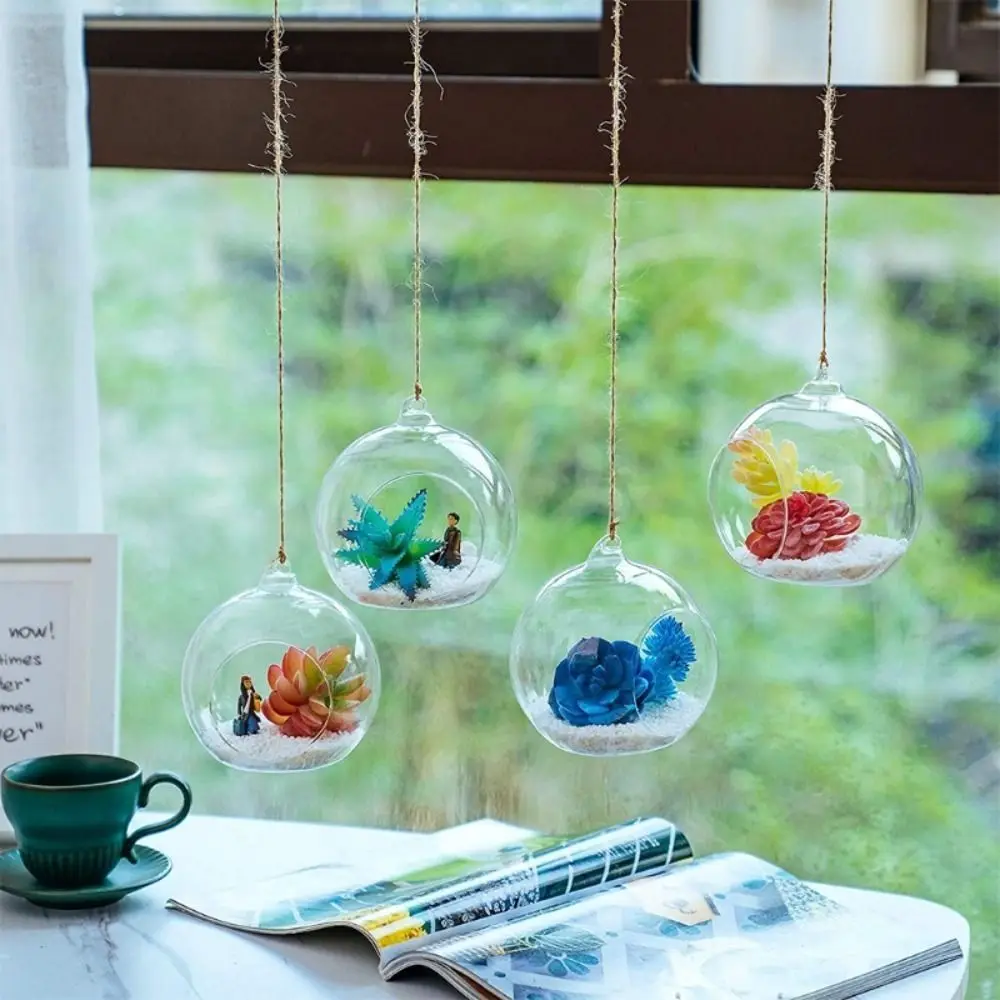 Ball Hanging Glass Vases Clear Transparent Glass Planter 6/8/10/12/15cm Borosilicate Glass Hanging Tealight Holder Moss