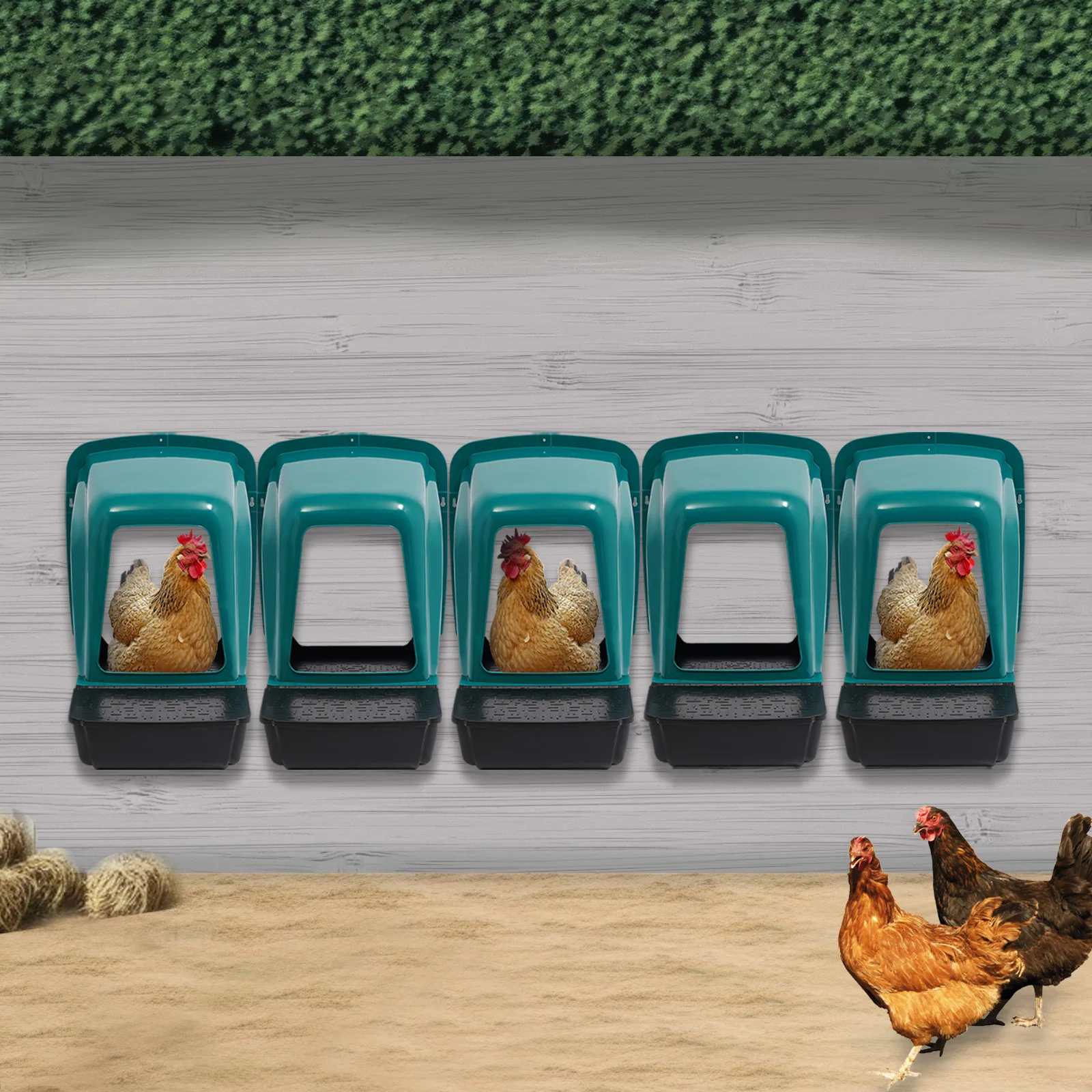 18,35*15,35*16,34 in 5PCS Nesting Boxen für Hühnerstall Kunststoff Halten Ei Sicherheit Sauber Sammeln Leicht für Hinterhof Geflügel Bauernhof