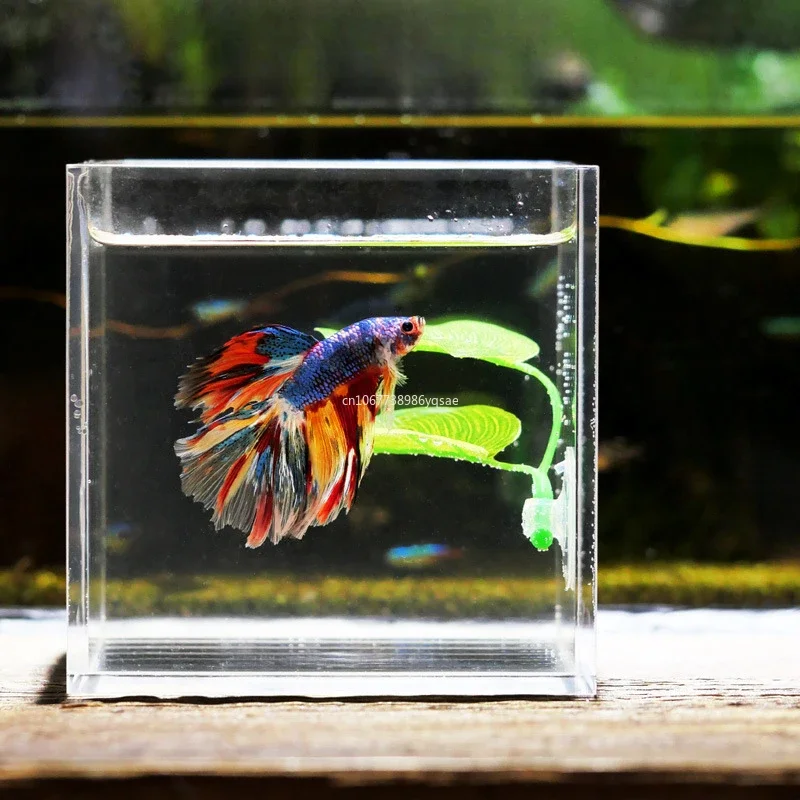 Fish Rest Aquarium Leaf Plants Decoration Spawning Ornamental Plant Betta Fish Play Hide Leaf Hammock Aquarium Accessories 어항