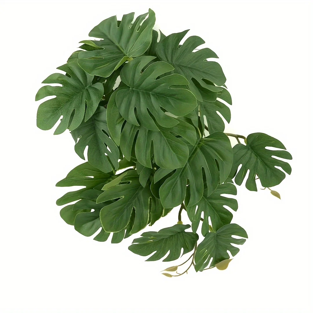 Monstera Adansonii - Reptile Plants for Terrarium Artificial Hanging