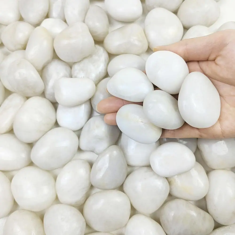 

Белые камни White River Rocks, полированные гальки для комнатных растений, декоративные белые камни 12 дюймов для растений, ваз, аквариумов и рыбных прудов.
