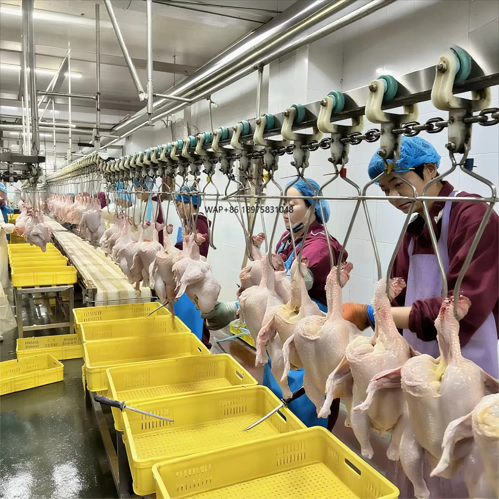 

Automatic Chicken Slaughterhouse Machine for Labor Reduction and Output Increasing with CE Certification 5000 Birds Per Hour