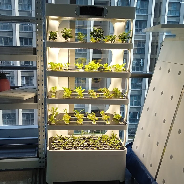 

Automatic Indoor Hydroponic Growing System Vertical Farming Leafy Vegetable Planting Intelligent Vegetable Growing Cabinet