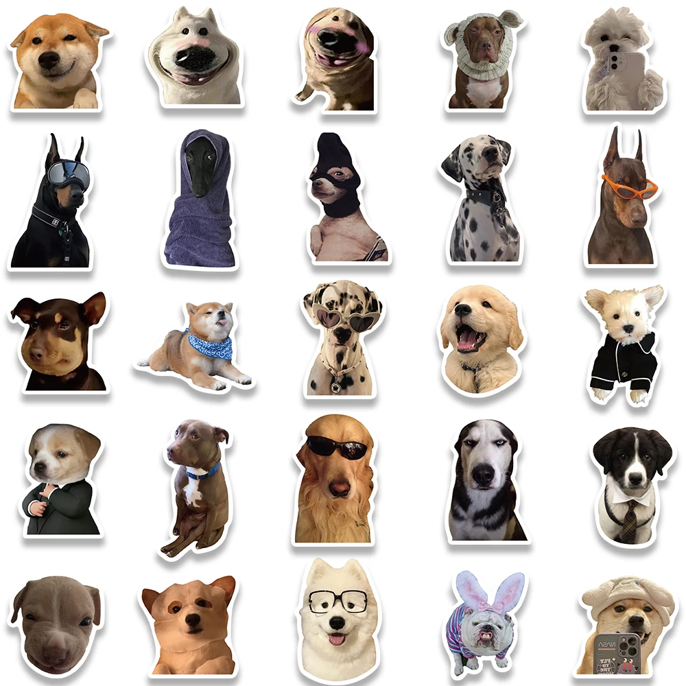 Imagem -06 - Cão Meme Engraçado Adesivos Garrafa de Água Animal de Estimação Cachorro Laptop Bagagem Notebook Skate Decalques de Vinil Impermeáveis 50 Pcs