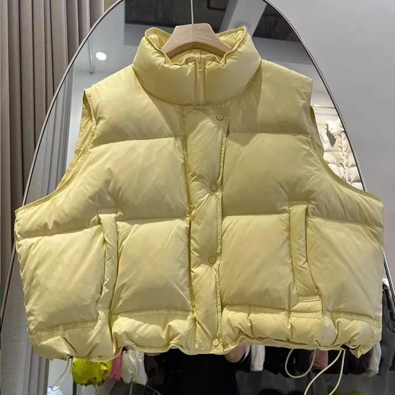 Candy-colored Down and Cotton Women's Jacket with A Stand-up Collar, Thick and Loose Short Style 2025 New Design