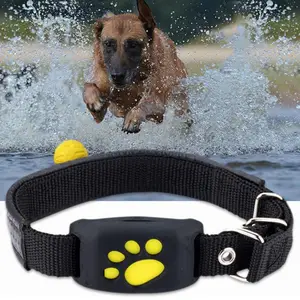 Z8 pet tracker app top