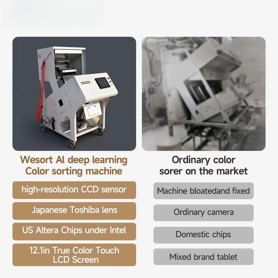 High Efficiency Soybean Color Sorter Machine 800-1000kg/h Automatic Grain Seeds Optical Sorting Equipment for Food Processing