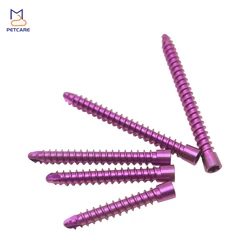 2.4mm Titanium HC Locking Screw for Veterinary, Orthopedic Surgery, Implants and Instruments, Medical Accessories,10Pcs