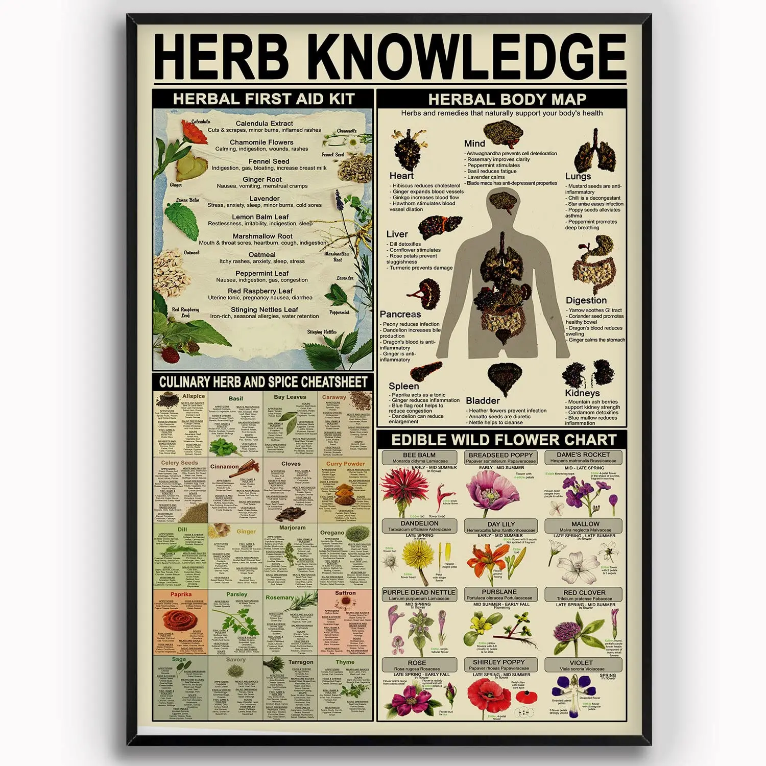 Herb Knowledge Metal Tin Signs Herbal First Aid Kit Infographic Poster Pharmacist Study Guide Tin Plaque Home Pharmacy Offi sign