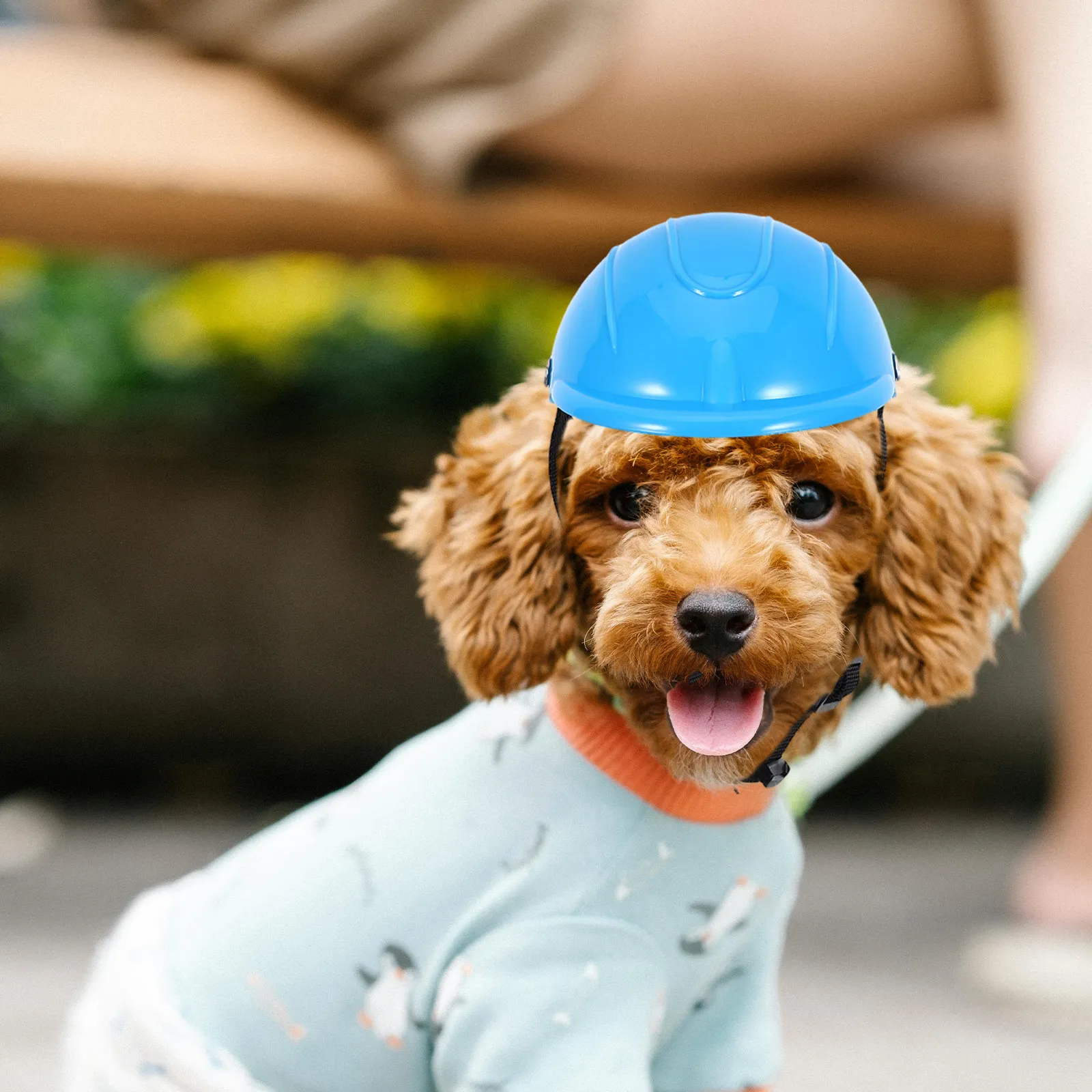 

Adjustable Dog for Small Breeds Impact Resistant Pet Protective Headgear with Chin Strap Breathable Mesh for Puppy